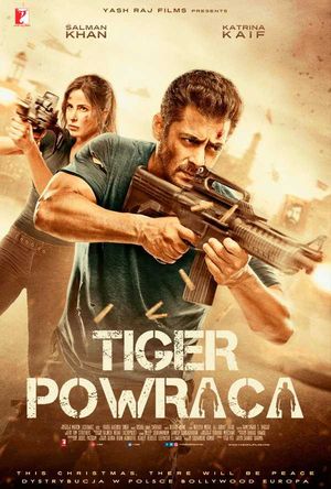 Tiger Zinda Hai Full Movie Download Free 2017 HD DVD