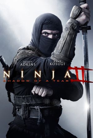 Ninja Shadow of a Tear Full Movie Download Free 2013 Dual Audio HD
