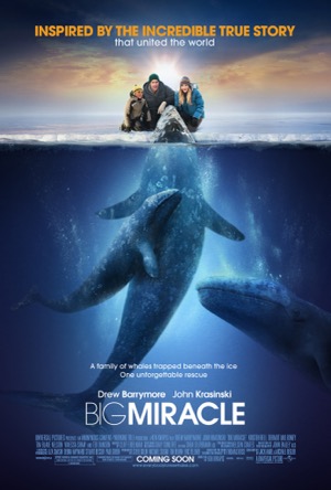 Big Miracle Full Movie Download Free 2012 Dual Audio HD
